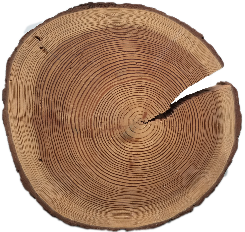 Holz – Begriffe